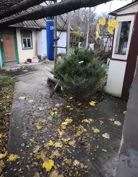 ������� �������, 50 �<sup>2</sup>, �������� 1