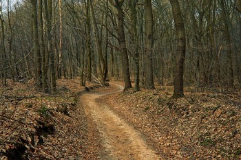 �������, 60 �<sup>2</sup>, �������� 1, ������� 4