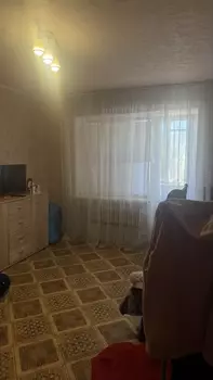 1 ���. ��������, 40 �<sup>2</sup>, 6/9 ����