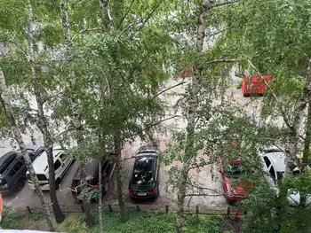 2 ��. ��������, 54 �<sup>2</sup>, 4/14 ������