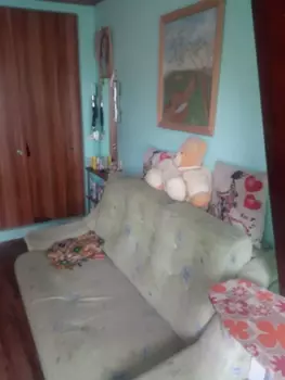 1 ���. ��������, 24 �<sup>2</sup>, 4/5 ����