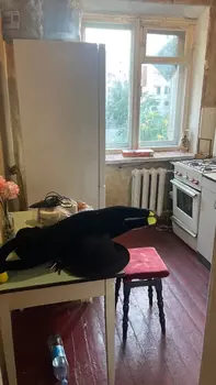 2 ���. ��������, 43 �<sup>2</sup>, 4/4 ����