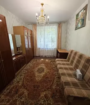2 ��. ��������, 50 �<sup>2</sup>, 1/4 ������