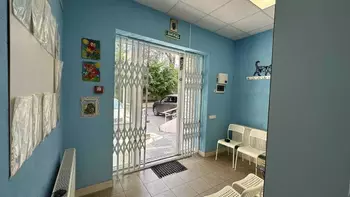 ��� �����, 50 �<sup>2</sup>, 1/17 ����