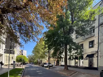 ��� �����, 50 �<sup>2</sup>, 1/4 ����