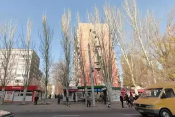 ��� �����, 55 �<sup>2</sup>, 1/ ����