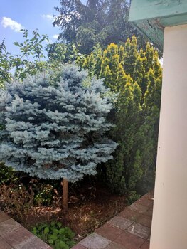 ����, 26 �<sup>2</sup>, �������� 1, ������� 1