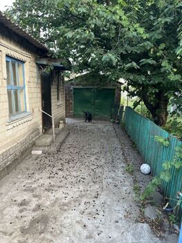 �������, 65 �<sup>2</sup>, �������� 1, ������� 5