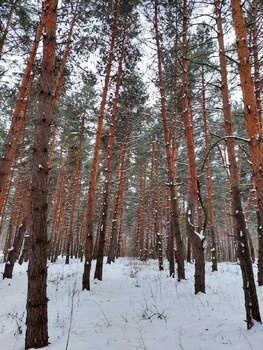 �������, 55 �<sup>2</sup>, �������� 2, ������� 3