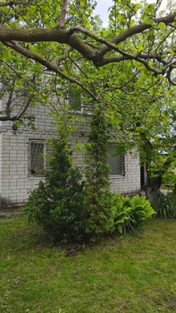 ����, 63 �<sup>2</sup>, �������� 2, ������� 3