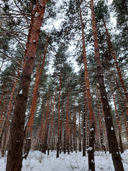 ����, 67 �<sup>2</sup>, ������ 2, ������ 4