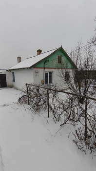 �������, 64,6 �<sup>2</sup>, �������� 1, ������� 3