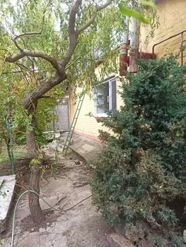 �������, 109 �<sup>2</sup>, �������� 2