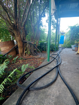 ����, 25 �<sup>2</sup>, �������� 1, ������� 1