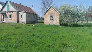 �������, 54 �<sup>2</sup>, �������� 1, ������� 1