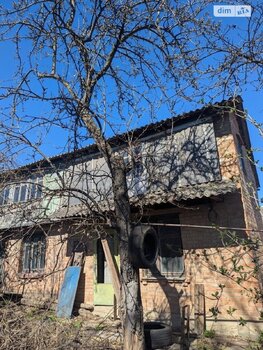 �������, 55 �<sup>2</sup>, �������� 1, ������� 2