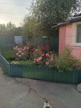 �������, 65 �<sup>2</sup>, �������� 1, ������� 4