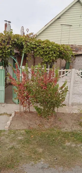 ����� ����, 65 �<sup>2</sup>, ������ 1, ������ 4