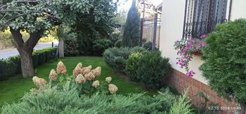 �������, 70 �<sup>2</sup>, �������� 1, ������� 4