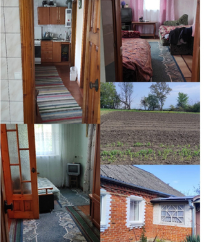 �������, 56 �<sup>2</sup>, �������� 1, ������� 2