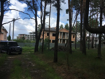 �������, 1124 �<sup>2</sup>, �������� 2, ������� 12