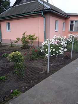 �������, 67,5 �<sup>2</sup>, �������� 1, ������� 31