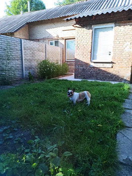 ����� ����, 55 �<sup>2</sup>, ������ 1, ������ 2