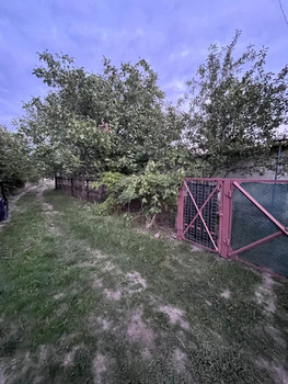 , 12 <sup>2</sup>,  1