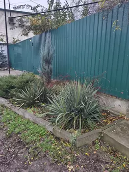 ����� ����, 99 �<sup>2</sup>, ������ 1