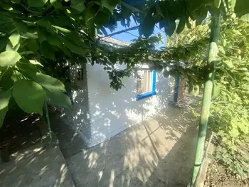 �������, 43 �<sup>2</sup>, �������� 1, ������� 2