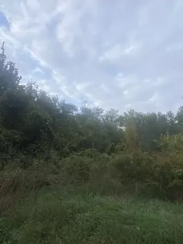 ����, 12 �<sup>2</sup>, ������ 1