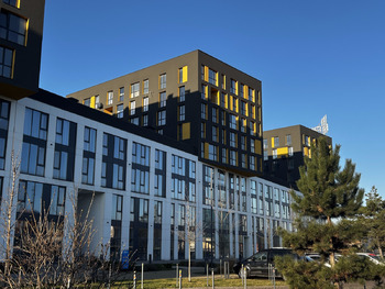 2 ��. ��������, 74 ��. �., 9/9 ������