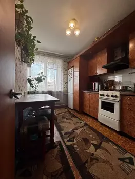 2 ���. ��������, 50 ��. �., 9/9 ����