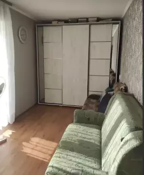 2 . , 42 . ., 4/5 