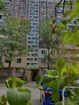 3 ���. ��������, 66 ��. �., 7/9 ����