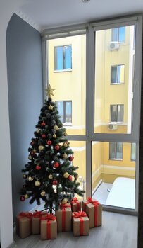 1 ���. ��������, 22 ��. �., 2/4 ����