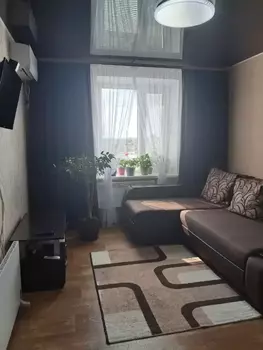 1 ���. ��������, 38 ��. �., 4/5 ����
