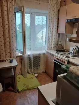 1 ���. ��������, 33 ��. �., 2/2 ����