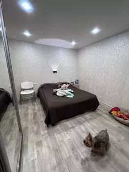 2 ��. ��������, 57 ��. �., 4/11 ������