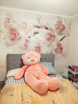 4 ���. ��������, 82 ��. �., 9/9 ����