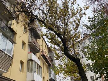 2 ��. ��������, 43.5 ��. �., 3/5 ������