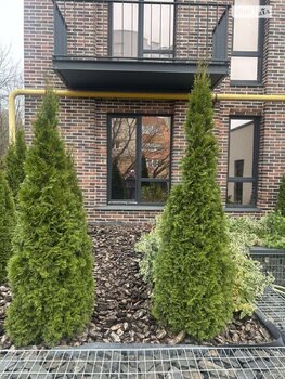 3 ���. ��������, 68 ��. �., 1/5 ����