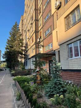 3 ��. ��������, 67 ��. �., 9/9 ������