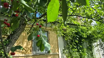 3 ���. ��������, 72 ��. �., 1/1 ����