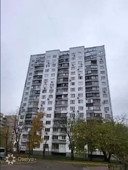1 ���. ��������, 35 ��. �., 16/16 ����
