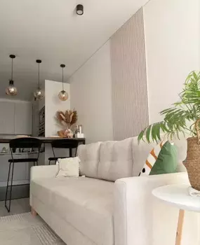 1 ��. ��������, 45,5 ��. �., 6/9 ������