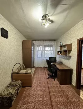 1 ���. ��������, 30 ��. �., 5/5 ����