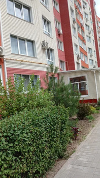 1 ���. ��������, 45 ��. �., 9/10 ����