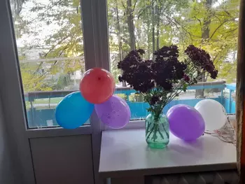 3 ���. ��������, 58 ��. �., 2/9 ����