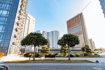 2 ��. ��������, 66,83 ��. �., 12/34 ������